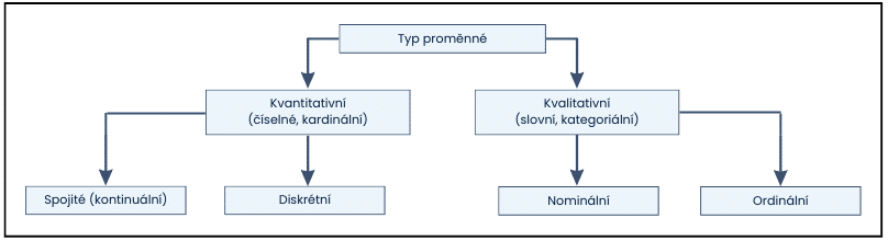 základní typy proměnných